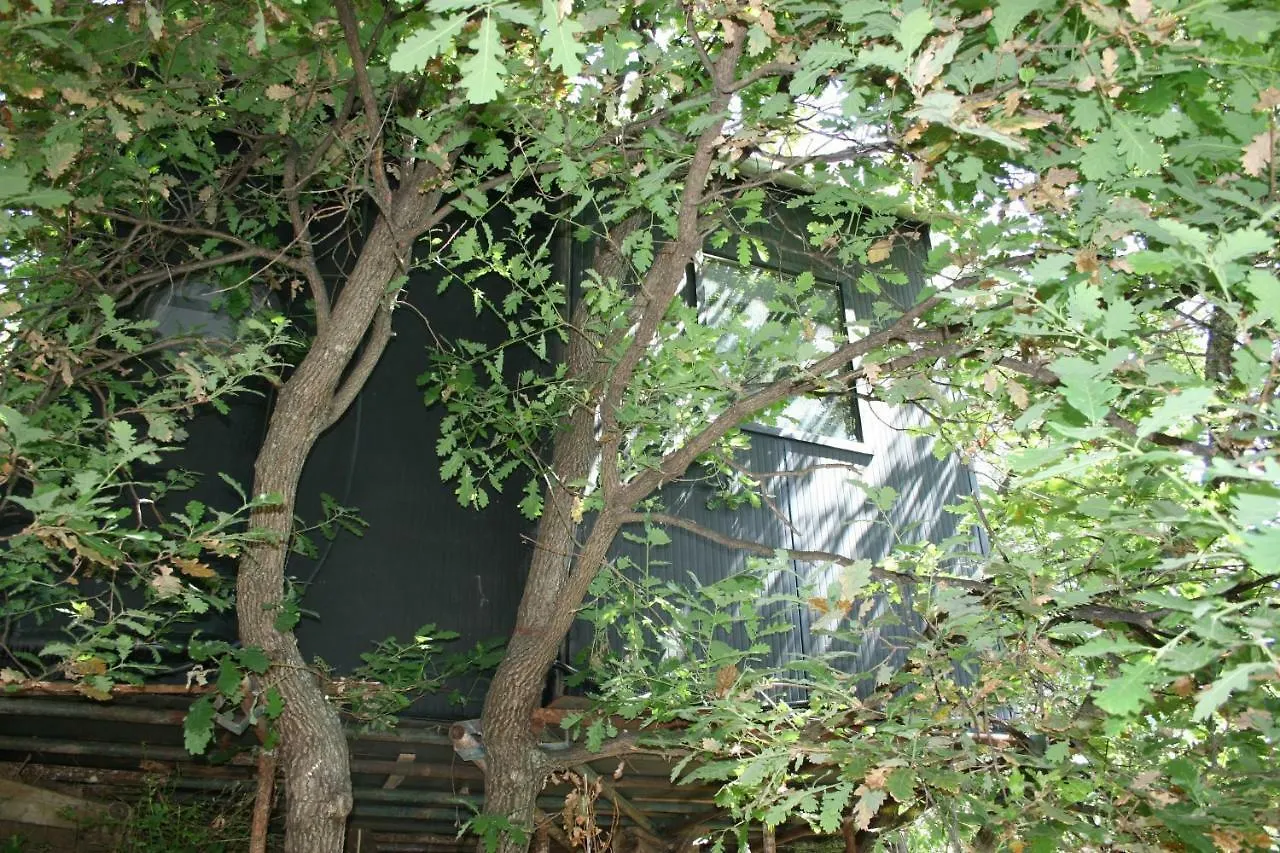 Parque de Campismo La Casa Sull'Albero Hotel Cefalù